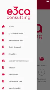 E3CA Consulting screenshot 2