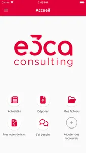 E3CA Consulting screenshot 3