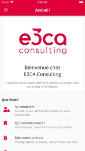 E3CA Consulting screenshot 4