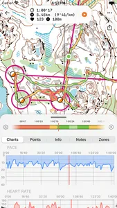 Control Orienteering Analysis screenshot 1