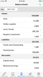 Balance Sheet - yourself screenshot 0