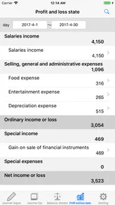 Balance Sheet - yourself screenshot 2