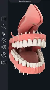 My Dental Anatomy screenshot 2