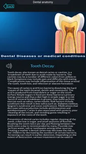 My Dental Anatomy screenshot 6