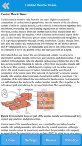 Muscle System Anatomy screenshot 2