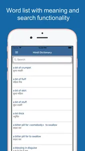 Hindi Dictionary & Translator screenshot 1