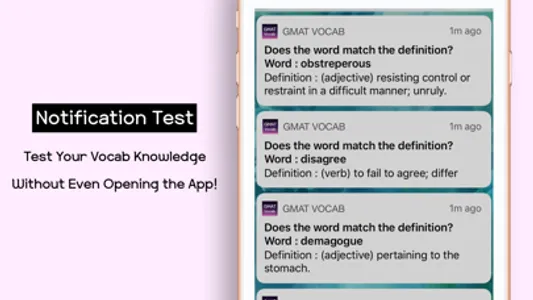 GMAT Vocabulary Words Test screenshot 0