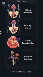 Urinary System screenshot 2