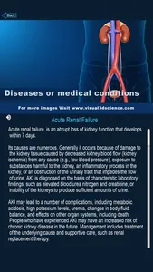 Urinary System screenshot 5