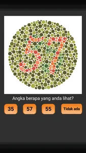 Tes Buta Warna Ishihara screenshot 1