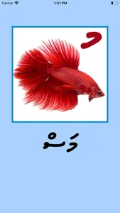 Thaana screenshot 2