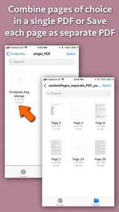 PDF pages Extractor & Splitter screenshot 1