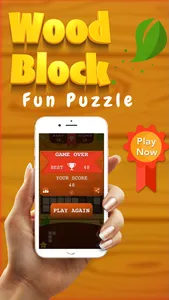 Wood Block : Fun Cube Puzzle screenshot 4