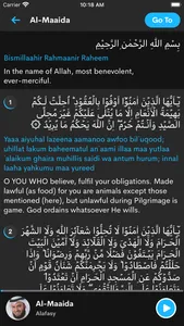 The Quran in English screenshot 1