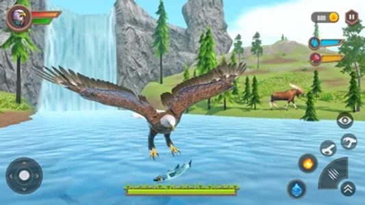 Real Eagle Simulator Bird Game screenshot 0