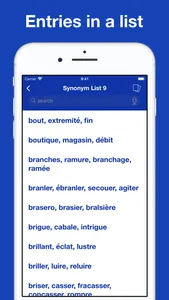 Mastering French Synonyms screenshot 6