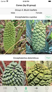 SA Cycads screenshot 2