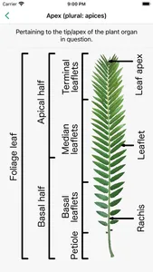 SA Cycads screenshot 5