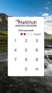 Native American Bank screenshot 0