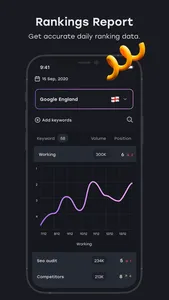 SE Ranking Pro screenshot 5