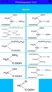 Photorespiration Tutor screenshot 1