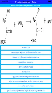 Photorespiration Tutor screenshot 2