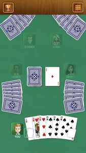 Crazy Eights - Classic Cards screenshot 0