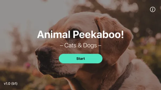 Animal Peekaboo - Cats & Dogs screenshot 0