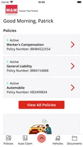 M & M Insurance Online screenshot 1