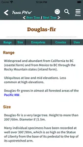 Trees PNW screenshot 7