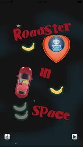 Roadster In Space screenshot 0