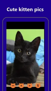 cat call screenshot 2