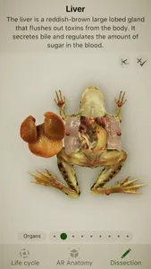 Froggipedia screenshot 2