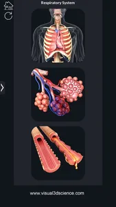 My Respiratory System Anatomy screenshot 0