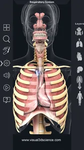 My Respiratory System Anatomy screenshot 1