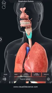 My Respiratory System Anatomy screenshot 2