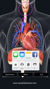 My Respiratory System Anatomy screenshot 4