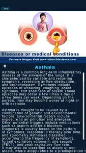 My Respiratory System Anatomy screenshot 5