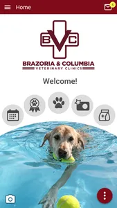 Brazoria Vet screenshot 0