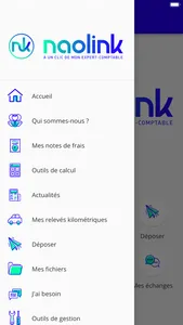 Naolink screenshot 2