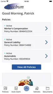 Spectrum Insurance Group screenshot 1