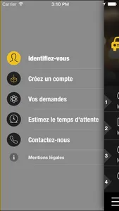 Taxis Tours screenshot 3