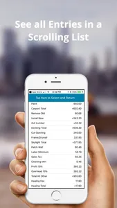 True Balance Lite screenshot 2