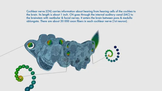 Auditory System Simulator screenshot 3