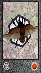 The Insect AR screenshot 3