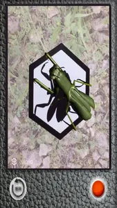 The Insect AR screenshot 4