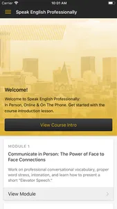 Speak English Professionally screenshot 1