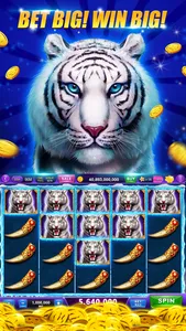 Slots-Heart of Diamonds Casino screenshot 4