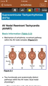 Johns Hopkins Internal Med 5/E screenshot 4