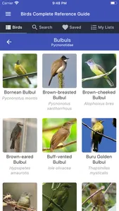 Birds Complete Reference Guide screenshot 1